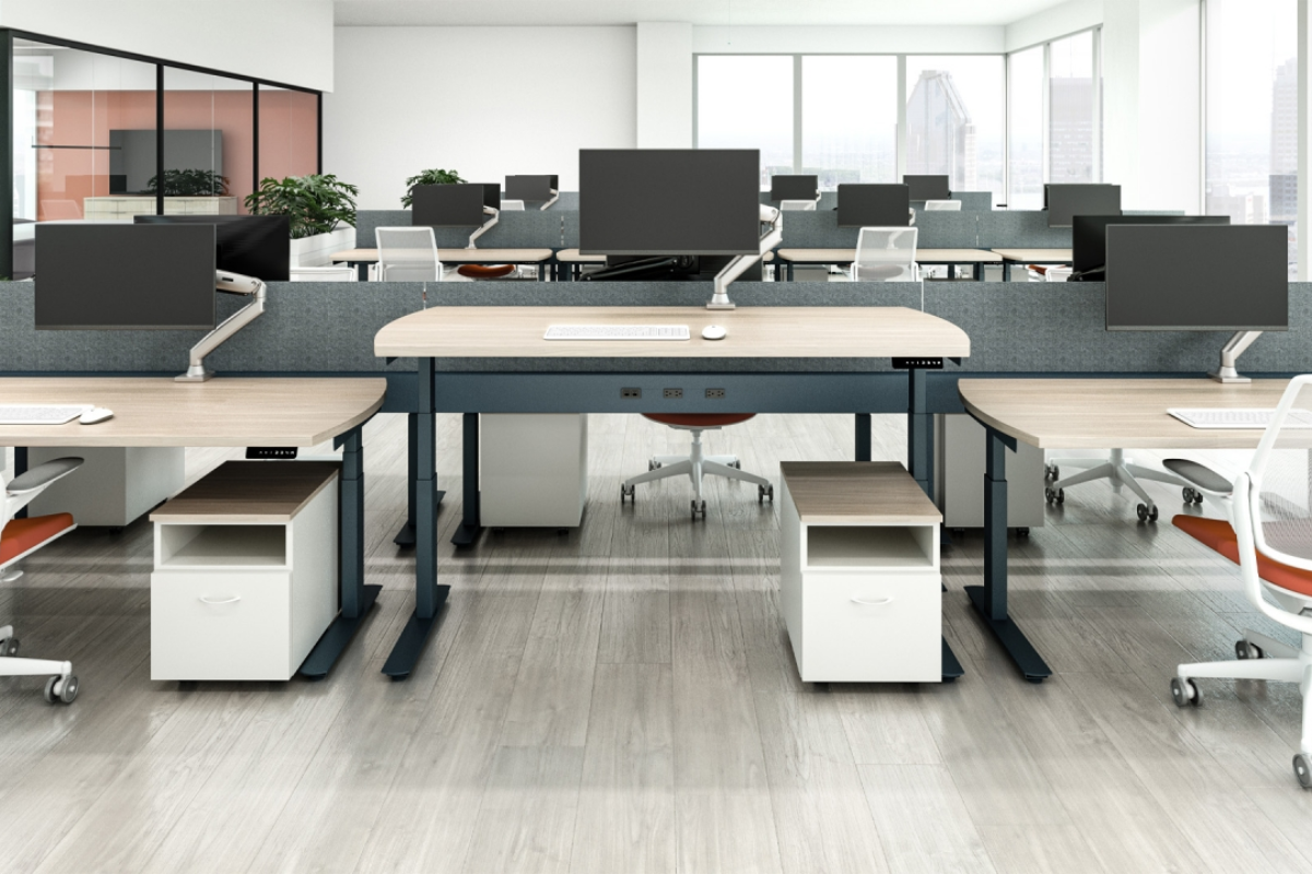 Enwork Enwork Jet Collection